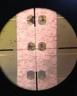 Target 1.webp