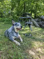 20230723_144442.webp