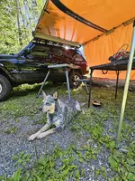 20230723_145640.webp