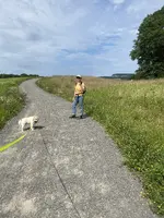 IMG_0862.webp