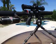 Leshiy 2 Hornet.webp