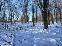 20241206_141340.webp