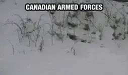 canadian-canadian-armed-forces-3222470227.gif