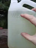 20241224_155344.webp
