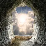 th-3799571284.webp