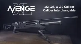 Screenshot 2025-01-22 at 11.35.33 AM.webp