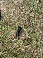 20250413_122353.webp