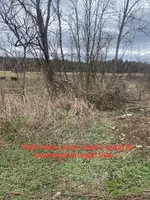 IMG_0337.webp