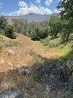 IMG_2274.webp