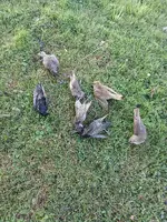 20250706_193812.webp