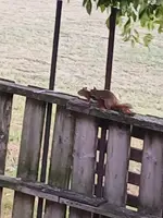20250806_183901.webp