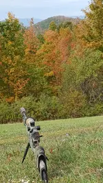 20251007_125407.webp