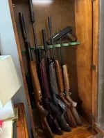 Air Gun  Collection.webp