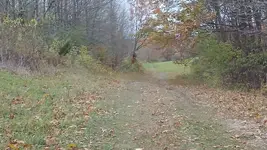 20251103_155912.webp