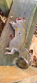 20251212_144634.webp