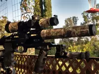 Leshiy Classic1.webp