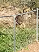 20251130_112724.webp 20251130_112724.webp