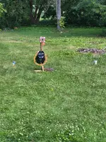 20260729_102746.webp