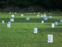 1785626892455.webp