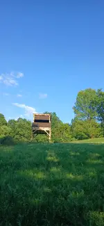 20260822_180854.webp