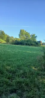 20260822_181017.webp