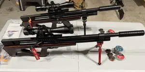 Vector Striker.webp