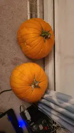 20261012_185234.webp