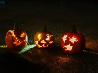 IMG_20261024_205316.webp