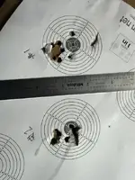 10 yard group.webp