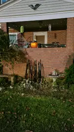 20261026_204507.webp