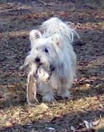 squirrelaction.webp