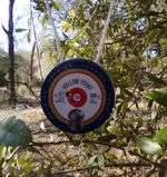cphptintarget.webp