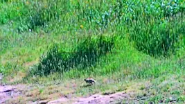 Snapshot_52.webp