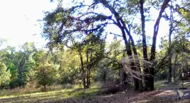 50'wind.webp 50'wind.webp