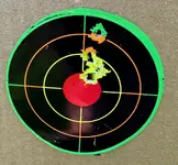 IMG_3445.webp