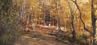 20241022_163706.webp