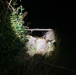 IMG_6928.jpeg