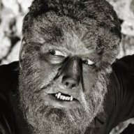 wolfmangreg