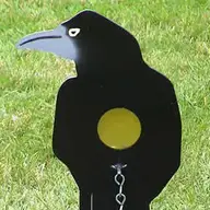 Bill_D