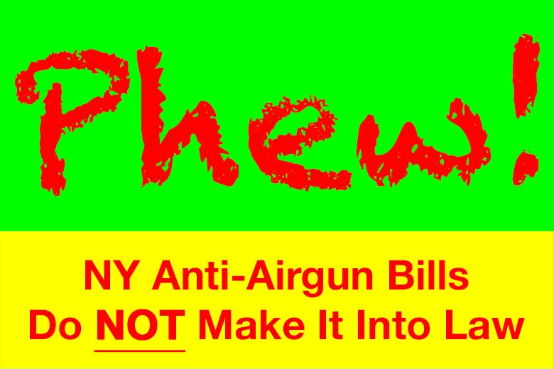 What Happened To The New York Airgun Ban?